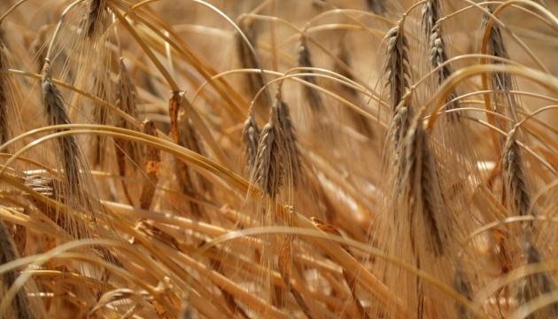 Ukraine exportierte seit Anfang Juli 3,6 Mio. Tonnen Getreide