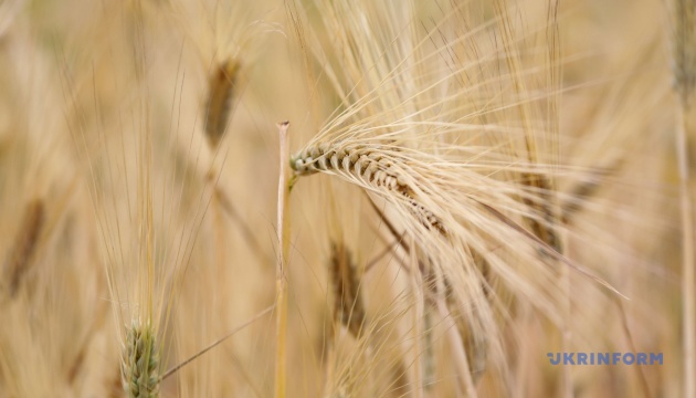 Les exportations de céréales sont en retard de 40% sur le calendrier de la saison dernière
