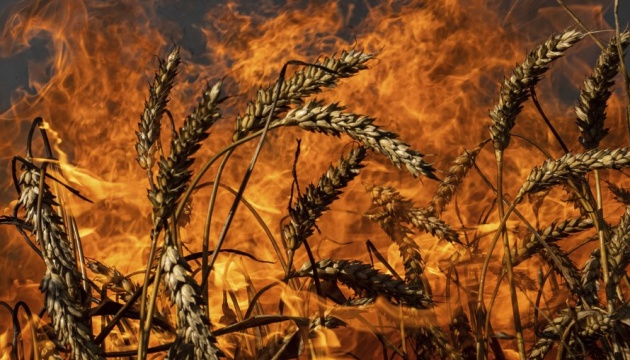 Guerre en Ukraine : 40 000 tonnes de céréales ukrainiennes endommagées par une frappe russe