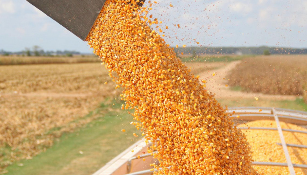 federacja rosyjska ukradła w Ukrainie zboża i nasiona oleiste na kwotę  ponad 600 milionów dolarów