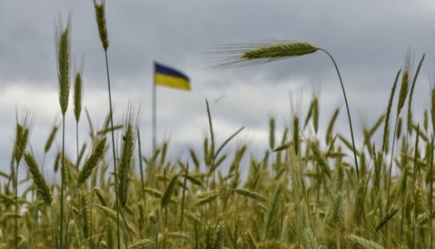 Negocjacje „zbożowe” z Ukrainą posuwają się – powiedział polski minister