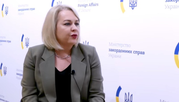 Однією з політичних умов для вступу України в НАТО є завершення війни – Галібаренко