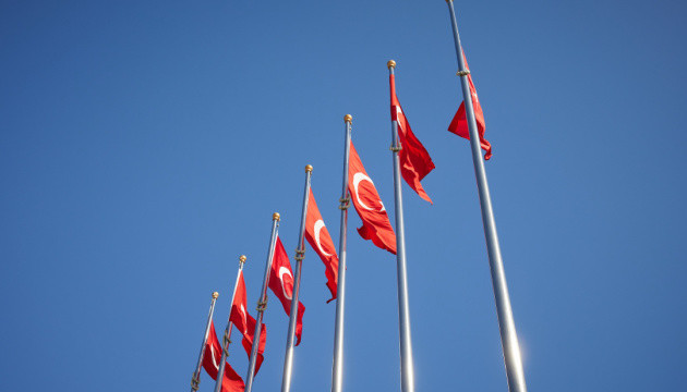 У Туреччині розкритикували результати нагородження правозахисною премією ПАРЄ