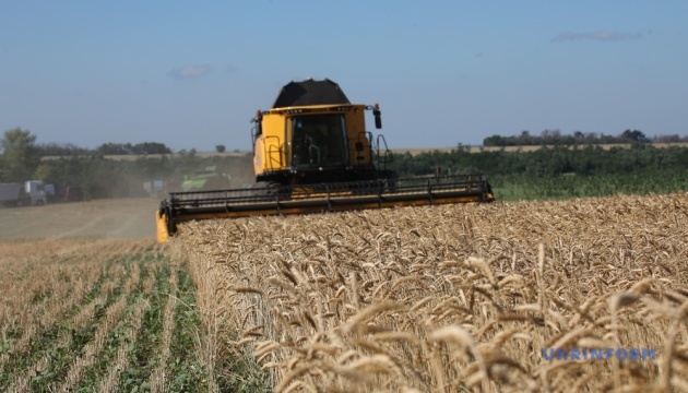 Ukraine already harvests over 22M tonnes of grain, oilseed crops