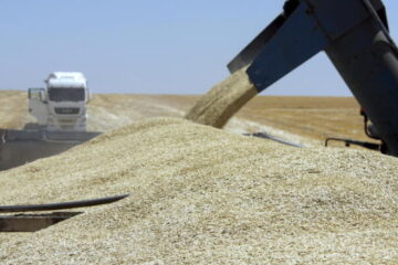 Russia steals over UAH 30 billion worth of Ukrainian grain