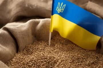 Ukraine exports more than 10M t of grain, leguminous crops in new season