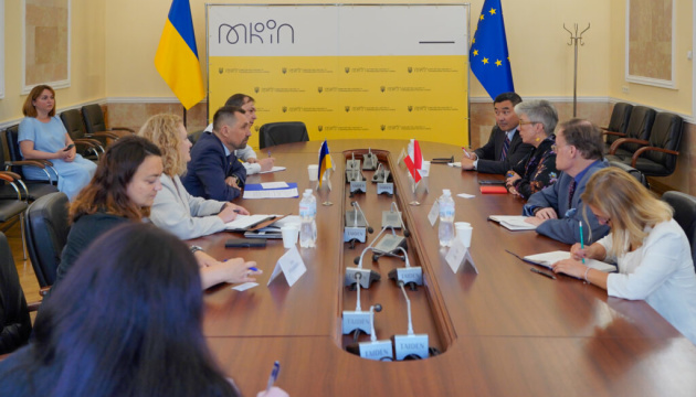 Tochytskyi, Canadian ambassador discuss cooperation in countering Russian disinformation