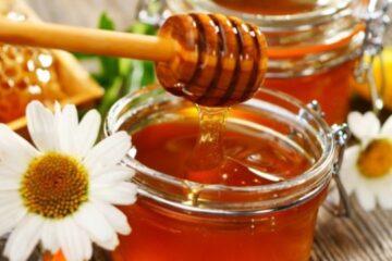 Poltava region produces more than 3,000 t of honey annually