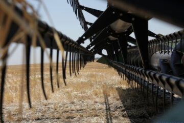 Ukraine already harvests 66.7M tonnes of grain, oilseed crops