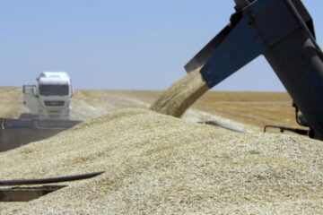 Germany increases grain imports from Ukraine since start of full-scale war