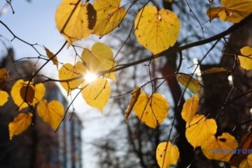 This year’s autumn in Kyiv one of warmest since 1881