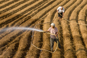 WMO confirms 2024 as warmest year on record