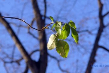 Kharkiv sets fifth temperature record in January