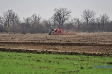 Farmers sow a third of early spring grains and legumes in Vinnytsia region