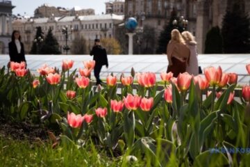 Weather forecasters told when warmth will come to Ukraine