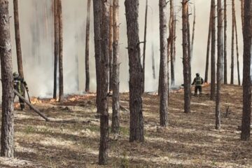 Massive forest fires break out in Kharkiv region following Russian artillery strikes