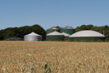 Three more plants preparing to start biomethane production in Ukraine – expert