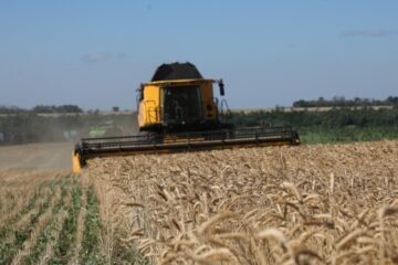 Harvesting campaign underway in three regions of Ukraine