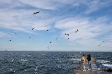 No immediate threat of Russia’s landing attempt on Odesa coast but defense forces preparing for any scenarios – spox