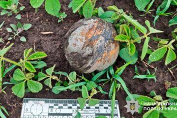 Cluster munitions found after Russian attack in Kremenchuk district