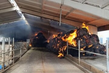 One dead, four injured in Kharkiv region amid Russian strikes