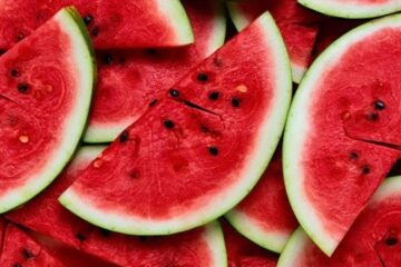 Kherson region farmers harvest first 500 tons of watermelons