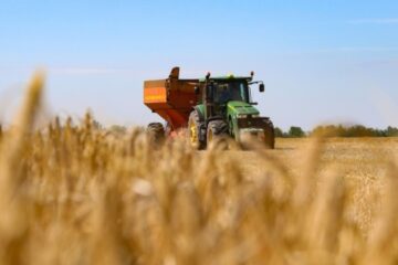 Ukraine’s projected wheat harvest significantly exceeds domestic market needs – Vysotskyi