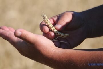 Russians seize Ukrainian grain from farmers in occupied territories