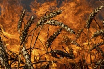 Drone strike hits combine harvester in Bilozerka, man wounded