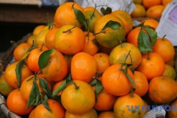 Ukraine’s agricultural imports up by 10% in H1 2025 – IAE
