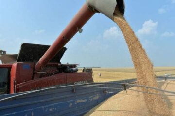 Over 15M tonnes of new-harvest grain already gathered across Ukraine