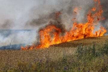 Wheat field burns down in Sumy region after drone attack