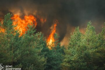 Large forest fire from Russian shelling extinguished in Donetsk region