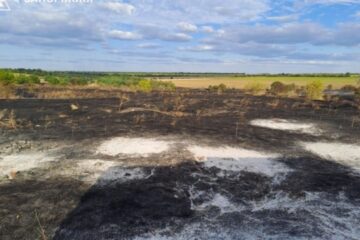 Russian shelling sparks fires in Zaporizhzhia region, burning 11 hectares, killing woman