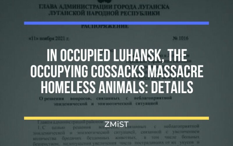 In occupied Luhansk, the occupying Cossacks massacre homeless animals: details