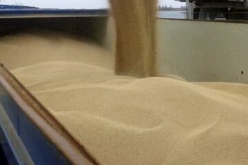 Grain from Ukraine: Third vessel with Ukrainian wheat leaves port of Odesa