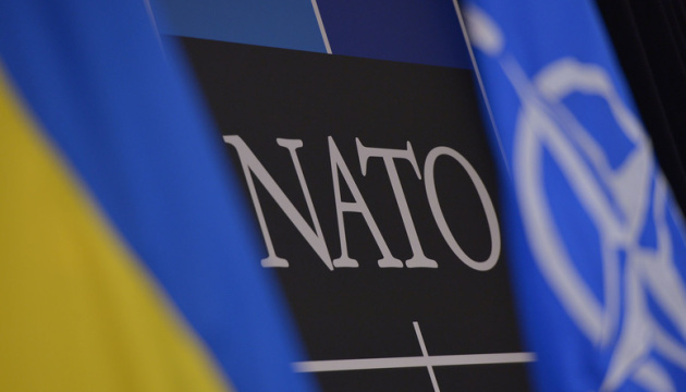 Ukraine wants to hear action plan of swift accession to NATO – deputy defense chief