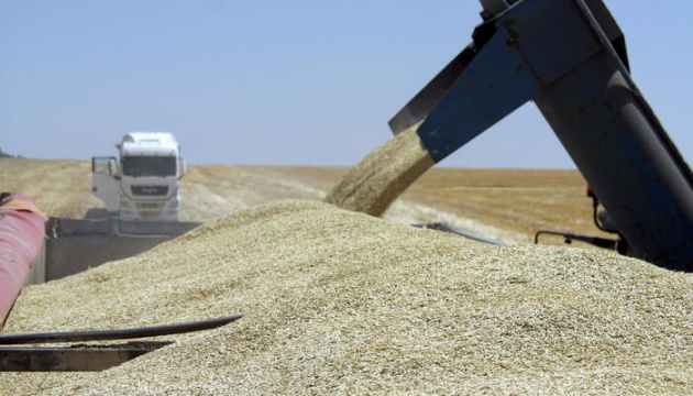 Ukraine exports over 6M t of grains, pulses