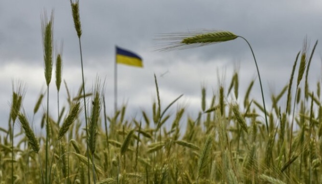 Bulgarian parliament allows Ukrainian grain imports after Sept 15